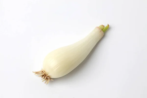 Raw bulbs of Japanese leek Chinese onion isolated on white background — Stock Photo, Image