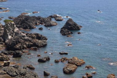 Japonya Wakayama 'da mavi denizli kayalık bir sahil.