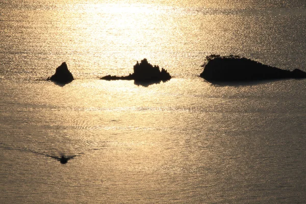 Hashikuiiwa famosas rocas en el mar por la mañana en wakayama Japón — Foto de Stock