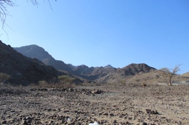 Hata Hill Görünümü Bae