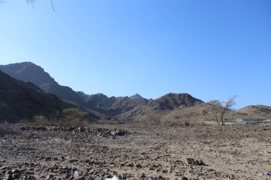 Hata Hill Görünümü Bae