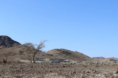 Hata Hill Görünümü Bae