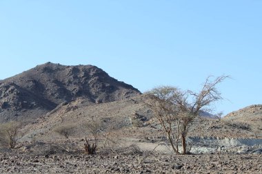 Hata Hill Görünümü Bae