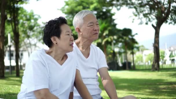 Asiático Senior Pareja Hablar Risa Disfrutar Parque Naturaleza Verde Fondo — Vídeo de stock