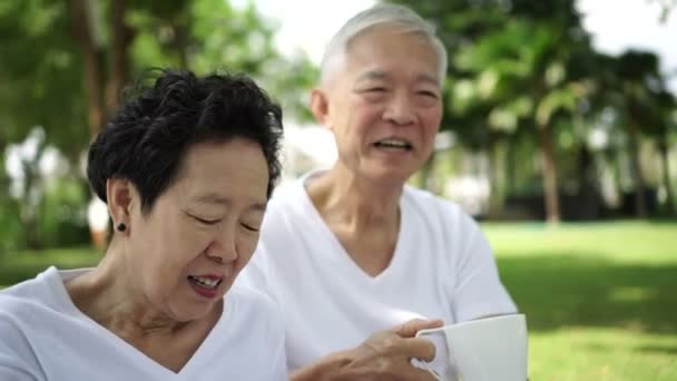 Asiático Senior Pareja Hablar Risa Disfrutar Parque Naturaleza Verde Fondo — Vídeos de Stock