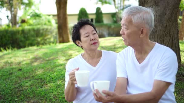 亚洲老年夫妇在绿色住宅园退休后谈论未来 — 图库视频影像