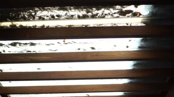 Translucent roof tile with dirty leaves pile to clean 4K — Stock Footage Translucent Roof Tile Dirty Leaves Pile Clean Stock Footage