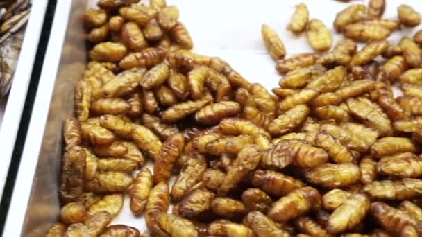 Thailand Straat Voedsel Gebakken Larve Wormen Diepe Gebakken Insect Super — Stockvideo