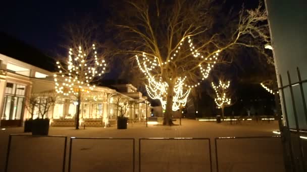 Amsterdam Pays Bas Avril 2017 Arbre Décoré Lumière Noël Dans — Video