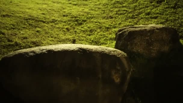 Bella Illuminazione Esterna Rocce Prato Verde Prato Giardino — Video Stock