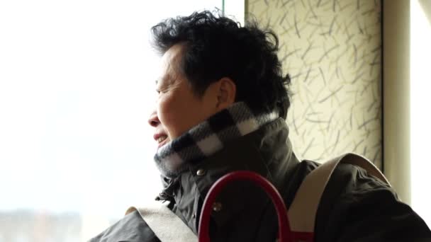 Ασιατικό Ανώτερα Γυναίκα Ευτυχισμένη Απολαύστε Σιδηροδρομικό Ταξίδι Ταξίδια Αργή Κίνηση — Αρχείο Βίντεο