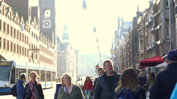 Amsterdam Netherlands April 2017 Tourists Crowd Walking Slow Motion City — Stock Video