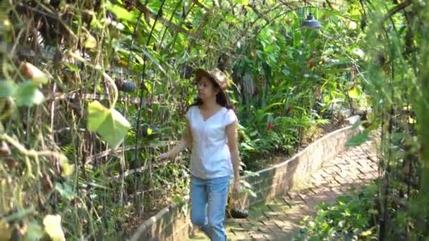 Азиатка Шляпе Работает Собственном Фермерском Бизнесе Зеленых Заводах Туннель Видео — стоковое видео