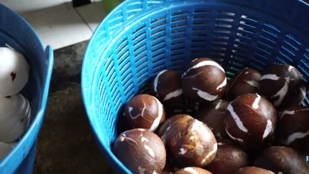 Очистка Молодых Кокосовых Орехов Перед Приготовлением Кокосового Молока Тропической Стране — стоковое видео