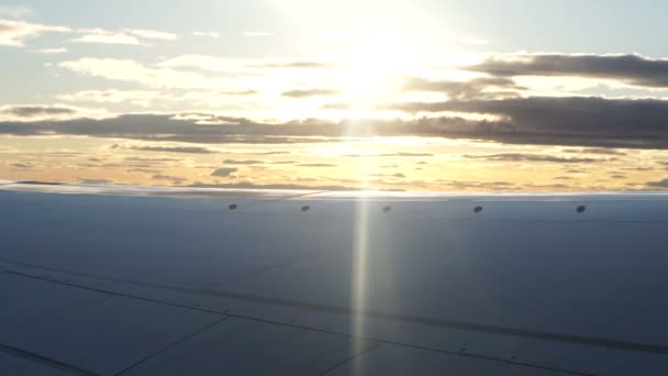 Φτερό Αεροπλάνο Πετώντας Πάνω Από Πρωινό Ξημέρωμα Αντανακλούν Σύννεφο Βίντεο — Αρχείο Βίντεο