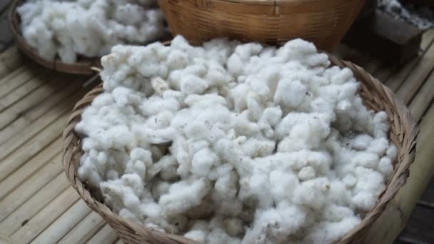 Surové Bavlny Bambusovém Koši Materiál Před Proces Pro Textilní Vlákna — Stock video
