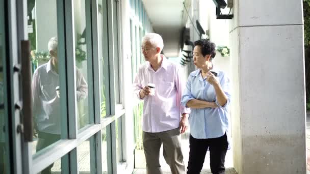 Asijské Starší Pár Hledá Pronájem Prostoru Pro Zahájení Podnikání Malých — Stock video