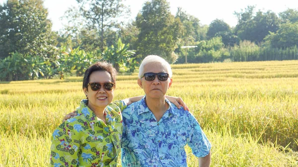 Aziatische Bejaarde Echtpaar Boerderij Argriculture Rijst Veld Business Gelukkig Natuur — Stockfoto