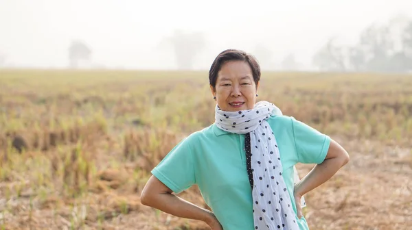 Aziatische Bejaarde Vrouw Eigen Geoogste Rijst Veld Boerderij Pensionering Portret — Stockfoto