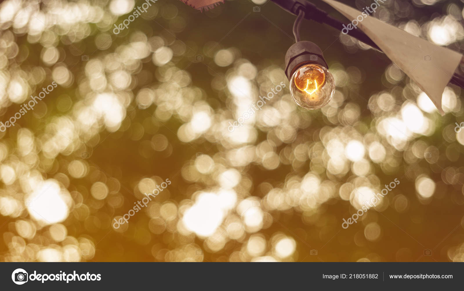 festive party light bulbs hanging green tree background copy space