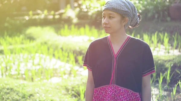 亚洲少数民族妇女与土生土长的礼服微笑在她的早晨有机稻田 — 图库照片