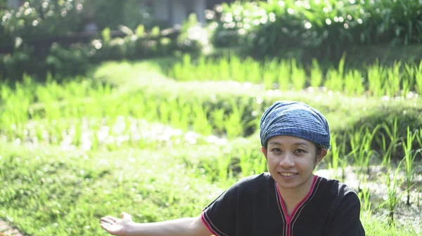 亚洲少数民族妇女与土生土长的礼服微笑在她的早晨有机稻田 — 图库照片