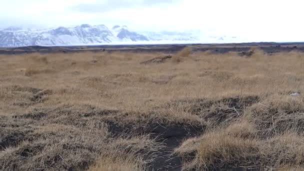 Island Roztál Ledovec Horské Krajiny Zpomalený Pohyb — Stock video