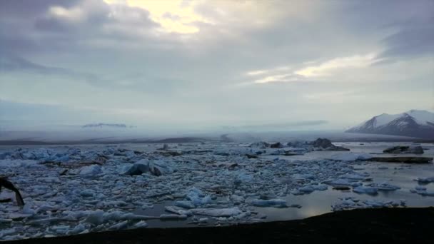 Timelapse Glacier Lagoon Island Majestätiska Naturen Visa — Stockvideo