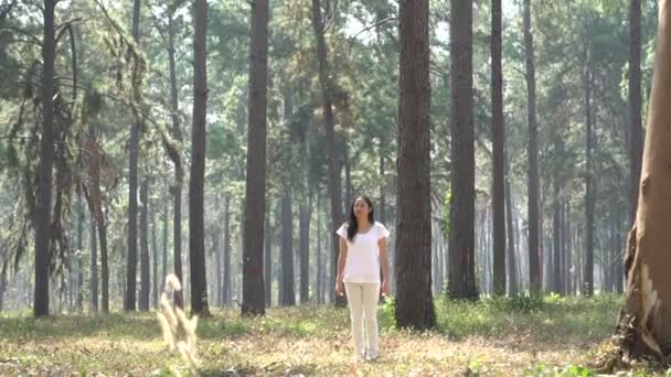 Asiática Étnica Mujer Corriendo Caminando Hermosa Bosque Cámara Lenta — Vídeos de Stock