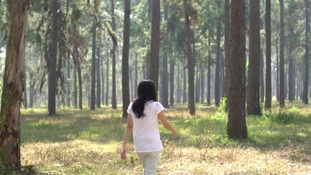 Asiática Étnica Mujer Corriendo Caminando Hermosa Bosque Cámara Lenta — Vídeos de Stock