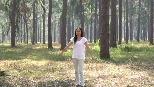 Asiatisk Etniska Kvinna Kör Promenader Vacker Skog Slow Motion — Stockvideo