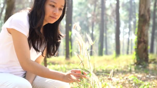 亚洲民族妇女在美丽的森林慢动作中行走 — 图库视频影像