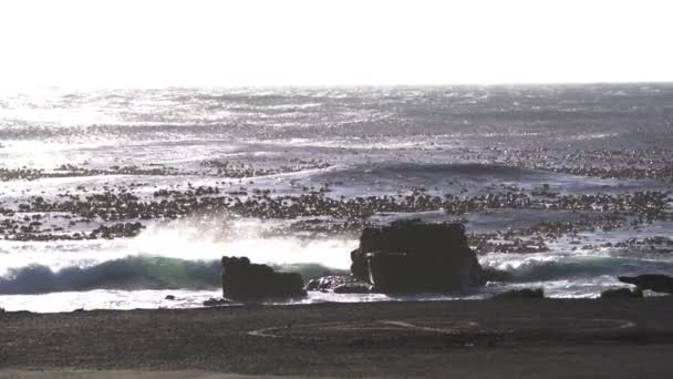 Good Hope Bay Stark Våg Sydafrika Landmark Punkt Vilda Natur — Stockvideo