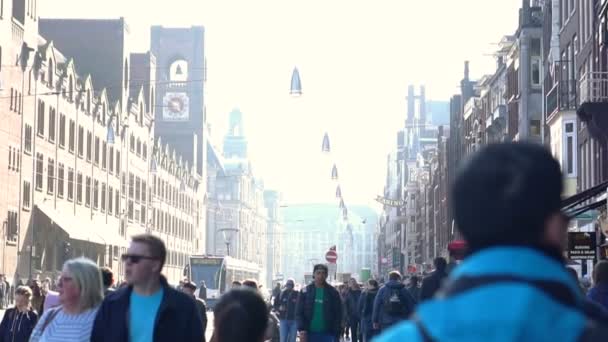 Amsterdam Nederland April 2017 Toeristische Wandelen Alkmaar Reisbestemming — Stockvideo