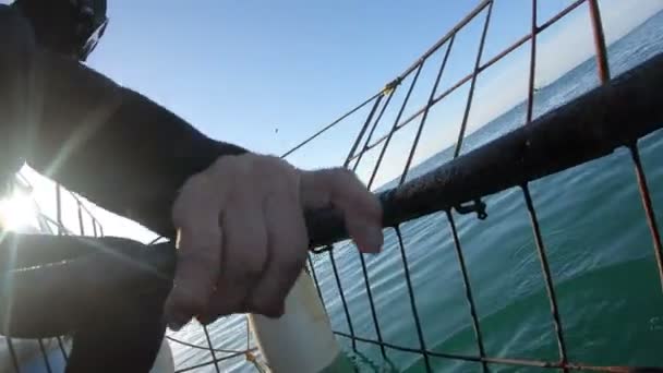 南アフリカのサメのケージダイビングでの観光客の取得 — ストック動画