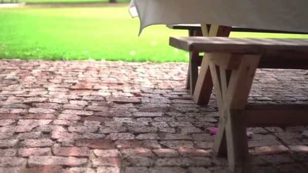 色彩艳丽的葡萄园中的木制桌布 — 图库视频影像