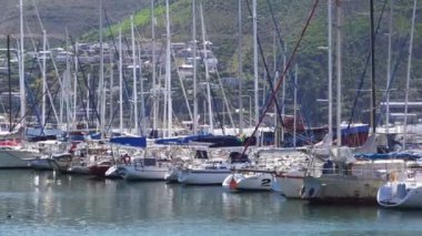 False Bay Güney Afrika 1 Ocak 2019 Cape Town Sunny Weather yakın Seal Island Harbour Tourist Attraction at Yatchs