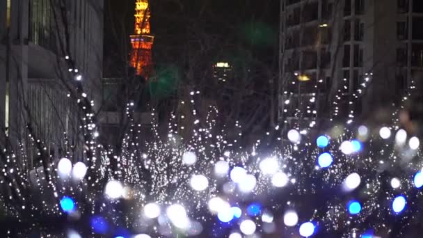 Tokio Japón Dic 2016 Navidad Iluminación Luz Decorar Roppongi Hill — Vídeo de stock