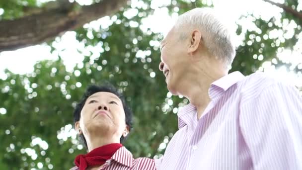 Asiatische Senior Paar Haben Spaß Coversation Entspannen Tag Park — Stockvideo