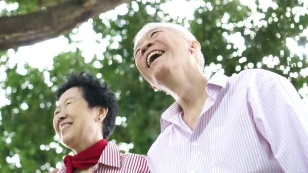 Yeşil Doğa Arka Planda Asyalı Kıdemli Çift Gülen Mutluluk — Stok video