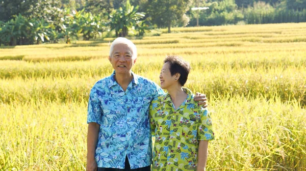 亚洲老年夫妇高兴在有机大米备案业务 — 图库照片
