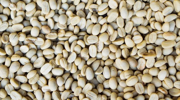 Raw coffee beans full background — Stock Photo, Image