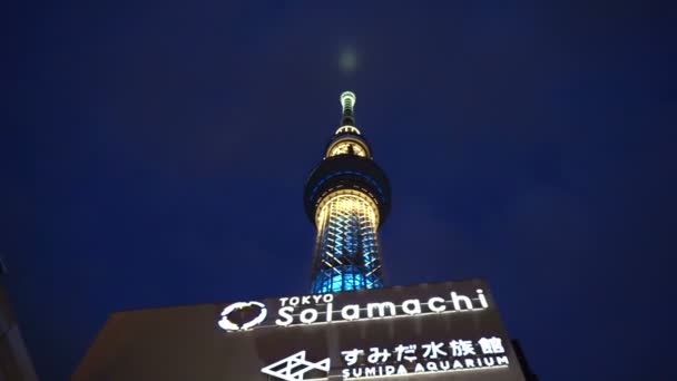 Tokyo Japonya Eyl 2016 Okyp Gökyüzü Ağacı Tokyo Solamachi Sumida — Stok video