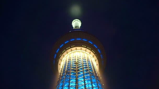 2016 东京天树特写结构在晚上 — 图库视频影像