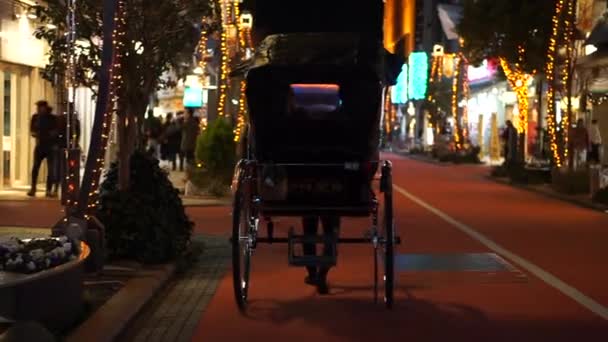 Tokyo, Japan-24 dec 2016-Asakusa rickshaw sightseeing på julafton natt — Stockvideo