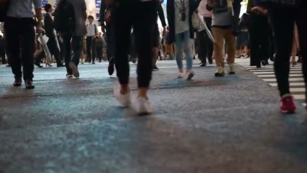 Stopy Tłumu Pieszych Ludzi Japonii Japoński Punkt Orientacyjny Shibuya Przejście — Wideo stockowe