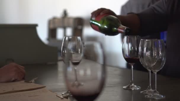 Provtagning Vin Från Olika Flaskor Video — Stockvideo