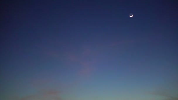 快乐的亚洲老年夫妇在公园日出天空和月亮清晨 — 图库视频影像