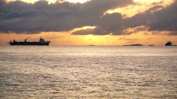 Nave Carico All Orizzonte Dell Alba Dorata Oceano Nuova Nave — Video Stock