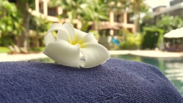 Frangipani Blume Und Luxus Tropischen Resort Schwimmbad Hintergrund — Stockvideo